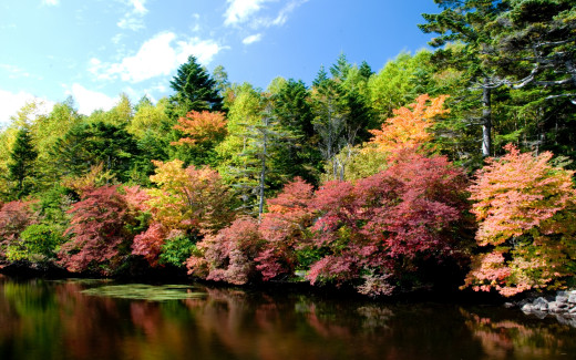 481645 (a): :2560x1600
